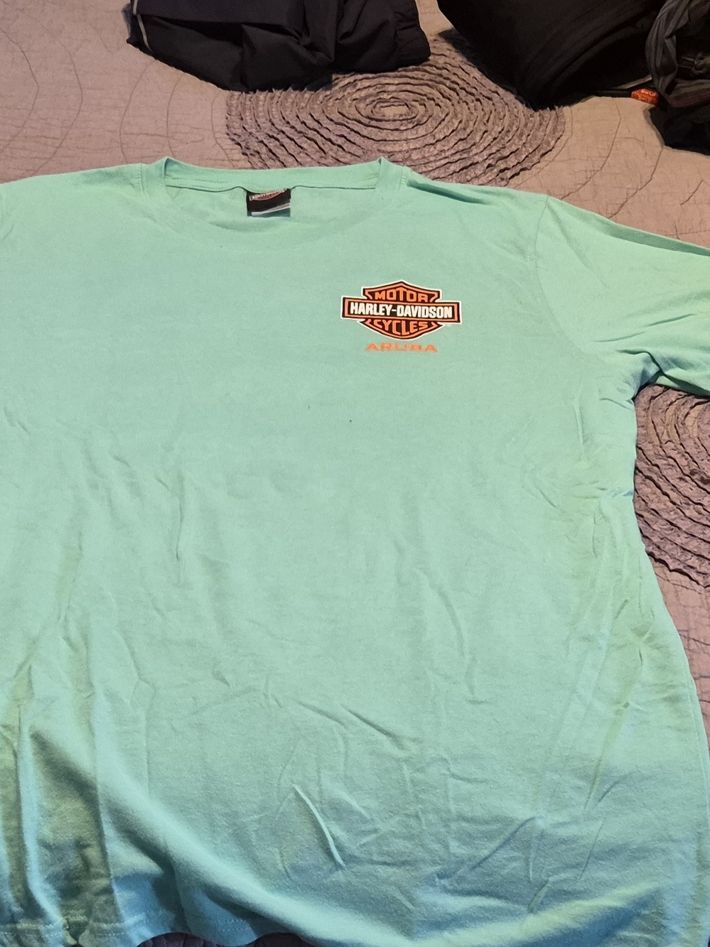 Harley-Davidson Men’s Mint Green Short Sleeve Logo Tee